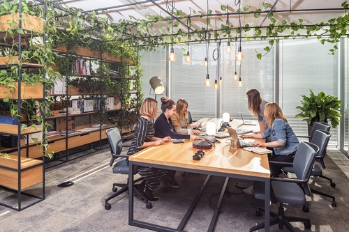Jak ważna jest obecność roślin zielonych w biurach
